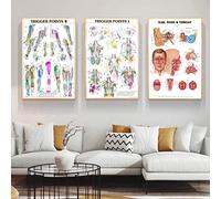 TANYANG Human Anatomy Trigger Points Chart Informational Canvas Painting Poster Prints 3 Pieces Wall Art Picture Living Home Room Decor 40Cmx60Cm No Frame