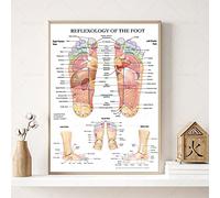 TANYANG Reflexology Of The Foot Poster Acupuncture Point Chart Anatomy Art Canvas Painting Print Picture For Living Room Home Wall Decor 50X70Cm No Frame