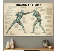 TANYANG Vintage Boxing Body Anatomy Posters Prints Modern Wall Art Canvas Painting Boxing Lover Gift Gym Room Decor Home Decoration 40X50Cm No Frame