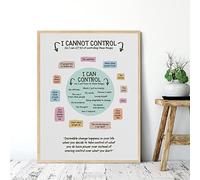 TANYANG What I Can And Cannot Control Poster Mental Health Calming Down Print Wall Art Canvas Painting Counselor Therapist Office Decor 60X90Cm No Frame