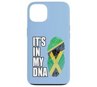 Tanzanian And Jamaican Vintage Heritage DNA Flag Case for iPhone 13