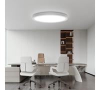 Taoellen 24W Round Flush Mount LED Ceiling Light, 2160lm 6500K Bright Cold White, Ultra-Thin Office Ceiling Light, Modern Led Light for Cloakroom, Kitchen, Utility Room, Bedroom, Hallway