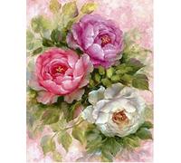 TAOGIFT DIY 5D Full Drill Diamond Painting by Number Kits Arts Craft Canvas Paint with Diamonds Peony Flower Crystal Rhinestone Embroidery Painting for Home Wall Decor (40X30CM)