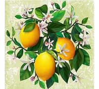 Taogift DIY 5D Full Square Drill Diamond Painting Kits Orange Fruit DIY Paint by Number Full Drill Arts Craft Canvas Paint with Diamonds for Home Kitchen Wall Decor (30X30CM)
