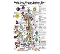 Taoist Inner Alchemy Knowledge Metal Signs Vintage Office Decor Anatomy Chart Tin Poster Home Club Room Wall Decoration Plaque 8x12 Inches