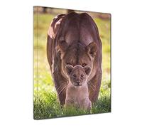 TAOMI Lioness Protect Cub Animals Picture Living Room Wall Art Lion Parents Artwork Framed Canvas Painting Print for Office Home Decor Ready to Hang (Lioness and Cub, 16x24inch)