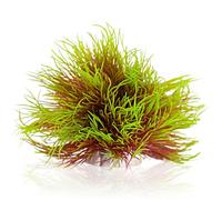 TAOMYPETS Fish Tank Decorations Aquarium Plants Plastic Artificial Décor (Pink Yellow)