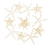 TaoQ C 12 PCS Starfish 2-6 Inch Mixed Starfish Natural Seashells Starfish Star Fish Shells Decorations Perfect for Wedding Decor Beach Theme Party, Home Decorations, DIY Crafts, Fish Tank