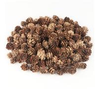TaoQ C 120 PCS Pine Cones Decorations, Natural Pine Cones Bulk - Mini Pine Cones Christmas Pine Cones for Table Christmas Tree Crafts Gifts Thanksgiving Fall and Xmas Home Decor