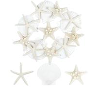 TaoQ C 15 PCS Starfish and Scallop Shells, 5cm-10cm Natural Seashells White Seashells Large Seashells for Crafts Wedding Decor Beach Theme Party, Fish Tank and Vase Filler