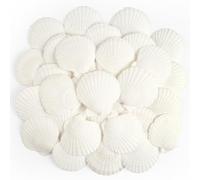 TaoQ C 20 PCS Scallop Shells Natural Seashell, 6cm-8cm White Scallop Shells Large Seashells for Crafts Wedding Decor Beach Theme Party, Vase Filler