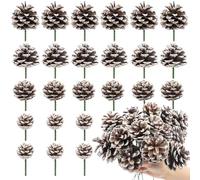 TaoQ C 24 PCS Christmas Pine Cones Picks, 4 Sizes Pine Cones with Stems Natural Snow Pinecones for Christmas Tree Crafts Gifts Thanksgiving Fall Xmas Home Decor