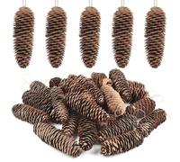 TaoQ C 24 PCS Large Pine Cones Decorations, Natural Pine Cones Christmas Pinecones with Strings for Christmas Tree Crafts Gifts Thanksgiving Fall Xmas Home Decor