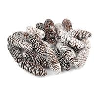 TaoQ C 24 PCS Pine Cones Decorations, Natural Snow Pine Cones Large Pine Cones Christmas Pine Cone Ornaments for Christmas Tree Crafts Gifts Thanksgiving Fall Xmas Home Decor