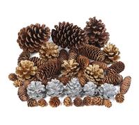 TaoQ C 45 PCS Pine Cones Christmas Pine Cones Natural Large Mini Silver Gold Pinecones for Crafts Christmas Tree Winter Holidays Thanksgiving Table Fall Bowl Fillers ornaments