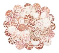 TaoQ C 48 PCS Scallop Shells Natural Seashell, 1" to 2" White and Pink Scallop Shells Small Seashells for Crafts Wedding Decor Beach Theme Party, Fish Tank and Vase Filler