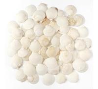 TaoQ C 48 PCS Scallop Shells Natural Seashell, 3cm-5cm White Scallop Shells Small Seashells for Crafts Wedding Decor Beach Theme Party, Vase Filler