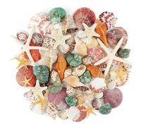 TaoQ C Sea Shells Mixed Ocean Seashells, 1.2"-3.5" Various Sizes Beach Seashells and Natural Starfish for Vase Fillers Fish Tank Beach Themed Party Home Wedding Decorations DIY Crafts