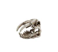 Taoxekoro Resin Sabertooth Skull Hideout - Reptile Habitat & Aquarium Decoration, Multi-Scene Skull-Shaped Shelter for Pets