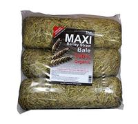 Tap Barley Straw Bale - Maxi Size (Triple) - Ideal Natural Water Treatment Solution