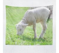 Tapestry 150x200 cm Sheep Wall Hanging Microfiber Large Size Tapestries 3D Print Farm Animals Wall Hangings Art for Bedroom Living Room Home Decor A1248