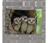 Tapestry for Bedroom Three Owls with Big Eyes Looking Out of A Tree Hollow Tapestry Funny Sogns Bar Man Cave Decor(100X150CM)
