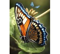 Tapestry Kit Color Butterfly Animal Latch Hook Rug Kits For Adults Yourself Knotting Set With Hooks Diy Carpet Make Tapestry Home Doormat 35x46in