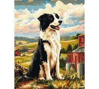 Tapestry Kit Farm Border Collie Animal Cross Stitch Knotted Rug,Diy Crochet Tapestry For Beginners,Adult And Teenager Embroidery Set Latch Hook Kits Rugs 31x63in