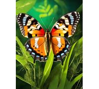 Tapestry Kits For Adults Fantasy Butterfly Animal Latch Hook Rug Kit Diy Cushion Making，Diy Tapestry For Home Decor Teenager And Adults Carpet Set 31x63in