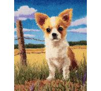 Tapestry Kits Latch Hook Carpet Kits for Adults Chihuahua in The Field 15X20In/52X38Cm DIY Latch Hook Rug Kits for Kids,Crochet Kit for Beginners,Rug Making Kits with Printed Canvas