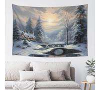 Tapestry Wide Wall Hanging Winter Snow Scene Tapestry Soft Lightweight Wall Blanket Funny Tapestry Aesthetic Background Wall Art Home Decor Vintage Mural for Bedroom Dorm Living Room 60 x 40 Inch