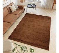 TAPISO Delhi Area Rug Bedroom Living Room Shaggy Plain Monochromatic Brown Soft Long Pile Durable Carpet Size - 60 x 100 cm (2ft x 3ft3)