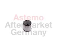 Tappet, high-pressure pump ASTEMO-HITACHI H2503059
