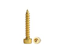 Tapping screws, 5 pcs M2-M8 Brass Plated Carbon Steel Golden Speaker Inner Hexagon Socket Cup Head Pointed Self-Tapping Wood Screw(20mm,M6 5pcs)
