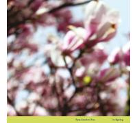 Tara Clerkin Trio - In Spring [VINYL]