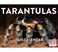 Tarantula Calendar 2026 Spider Monthly Wall Calender 12 Month | American Made In The USA