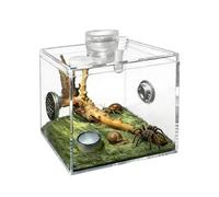 Tarantula Enclosure, Acrylic Glass Breeding Habitat, Praying Mantis Terrarium, For Use at Home, in the Interior and also in the Living Room: Snails, Lizards, Praying Mantis and Small Animals
