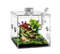 Tarantula Enclosure - Acrylic Glass Rearing Terrarium - Reptile Breeding Box, For Use at Home, in the Interior and also in the Living Room: Snails, Lizards, Praying Mantis and Small Animals