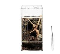 Tarantula Enclosure Breathable Acrylic Escape-Proof Habitat