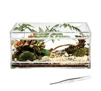 Tarantula Enclosure Transparent Breathable Habitat