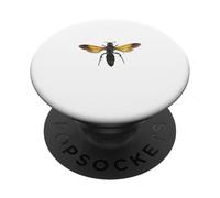 Tarantula Hawk Wasp Insect PopSockets Adhesive PopGrip