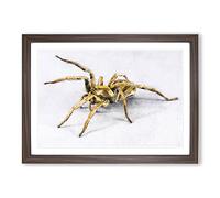 Tarantula Spider Painting Framed Print | A2 Walnut Framed Wall Art | Ready to Hang | Modern Historical Picture | Living Room Bedroom Lounge Office