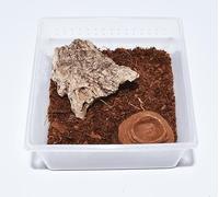 Tarantula Spiderling Rearing Kit, 3 Enclosure Set, with Substrate, Bowls and Hides (Small (9 x 9 x 4.5cm))