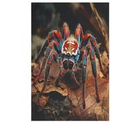 Tarantula Wooden Jigsaw Puzzles 1000 Piece Puzzle For Adults. Challenging To Complete But Fun And Humorous Jigsaws （78×53cm）