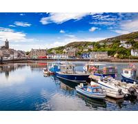 Tarbert Harbour Jigsaw Puzzles for Adults 1000 Jigsaws Tarbet Fishing Town 1000 Piece Jigsaw Puzzles for Adults