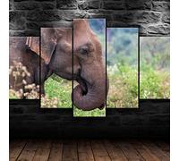 Targawerelax Canvas Prints Asian Elephant Wild Animals Nature 5 Piece Canvas Wall Art Print Home Decor Pictures Paintings Poster Print No Framed 50x25cm