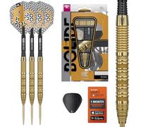 Target Darts Bolide Envy 90% Tungsten Swiss Point Steel Tip Dart Set (Barrel 01/02/03/04/05), 21G/22G/23G/24G/25G/26G | No.6 Flights & Pro Grip EVO Shafts, Gold Swiss Points & SP Tool Included
