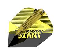 Target Darts Gabriel Clemens Brass Designed No.6 Pro Ultra Yellow Dart Flights