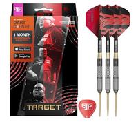 Target Darts Stephen Bunting G5 Void Steel Tip Swiss Point Darts, 25G | 95% Tungsten Dart Set, Player Edition Black & Gold, Pro Grip Shafts & No.2 Flights, Including SP Tool