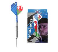 Target Darts Unisex's Lewy Williams Gen 1 24G 90% Tungsten Steel Tip Darts Set, Silver and Blue